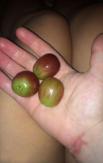 juicy giant grapes. I am not a lion!!! Big right!